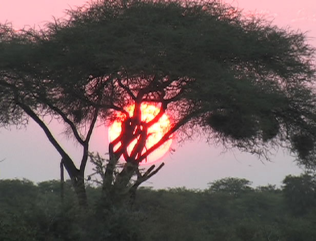 sunset
